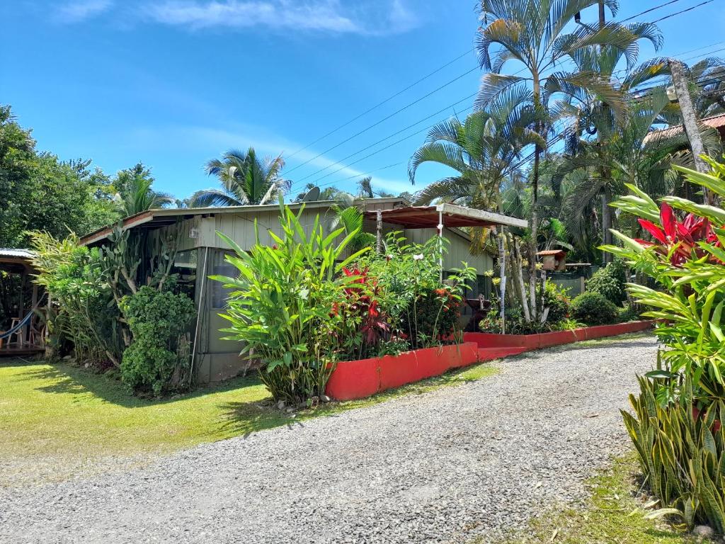 Lobby, Hotel El Colibri Rojo in Cahuita