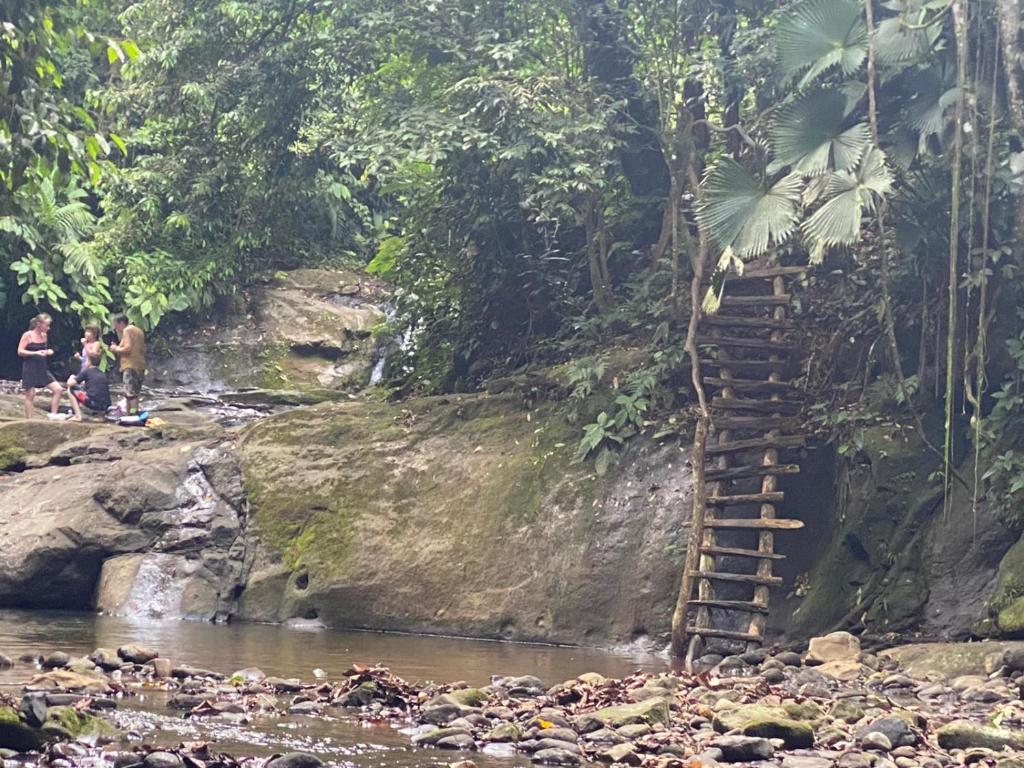 Surrounding environment