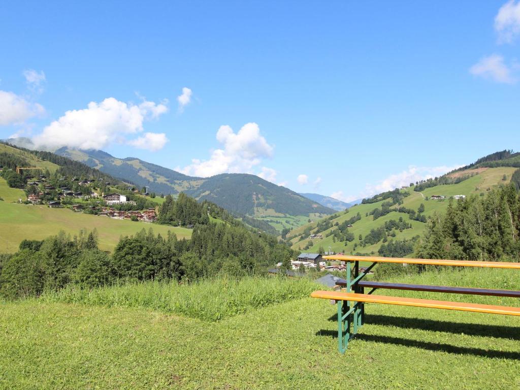 Apartment near the Maria Alm ski area - 3