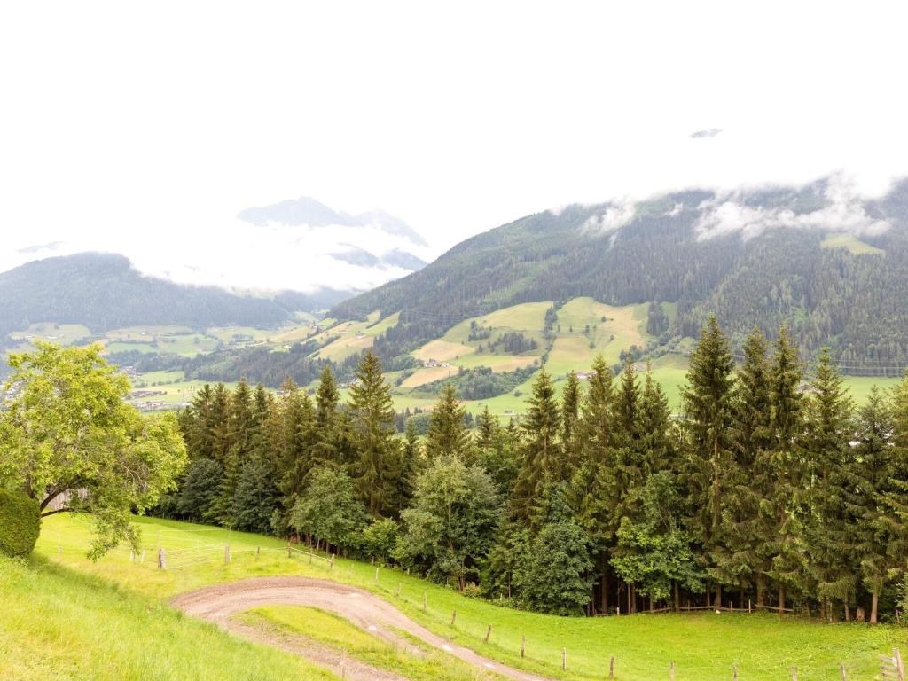 Apartment in Mittersill near Kitzbühel Ski Area - 5