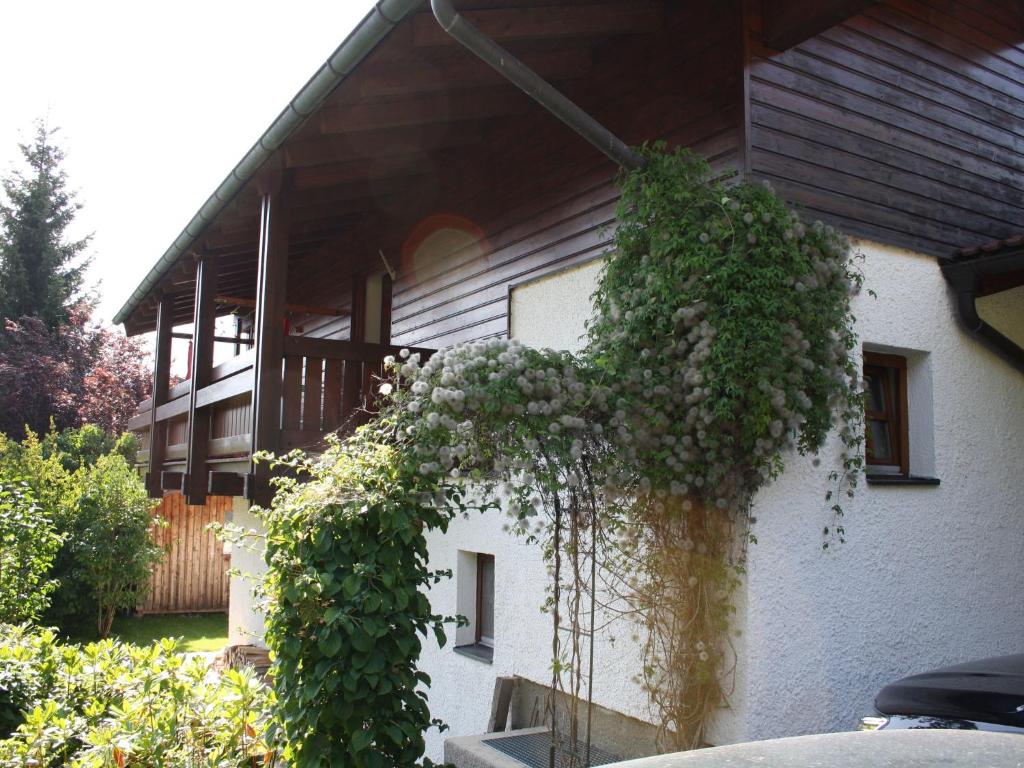 Country House Goldegg near Ski Slopes - 2