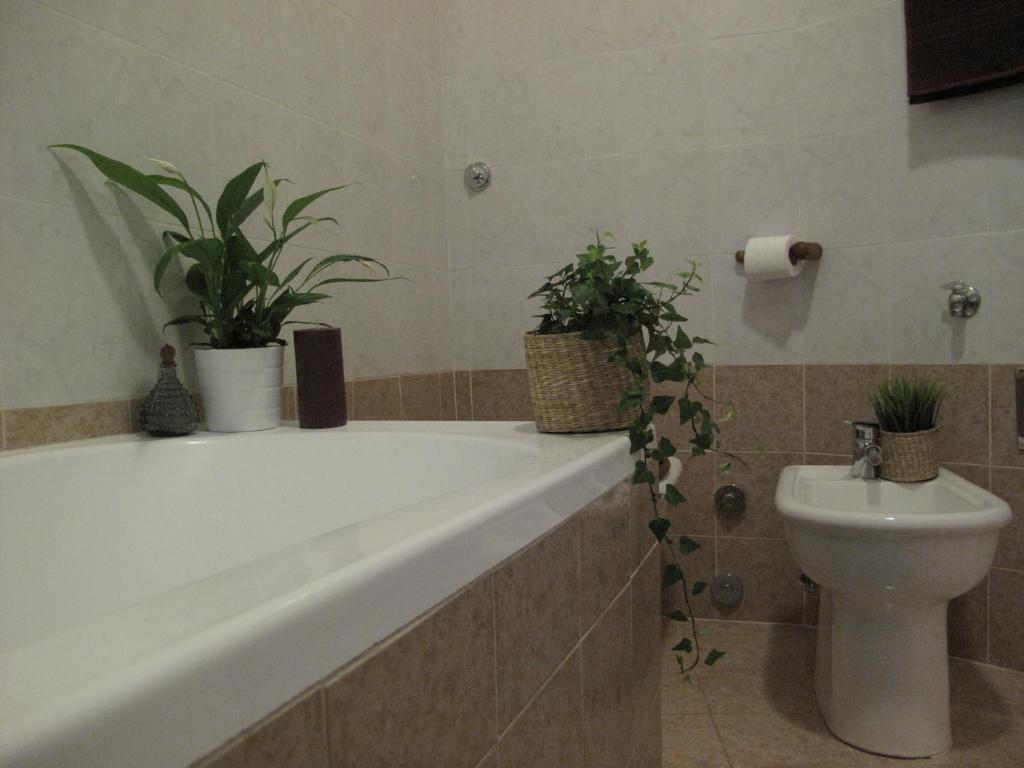 Arches Inn photo