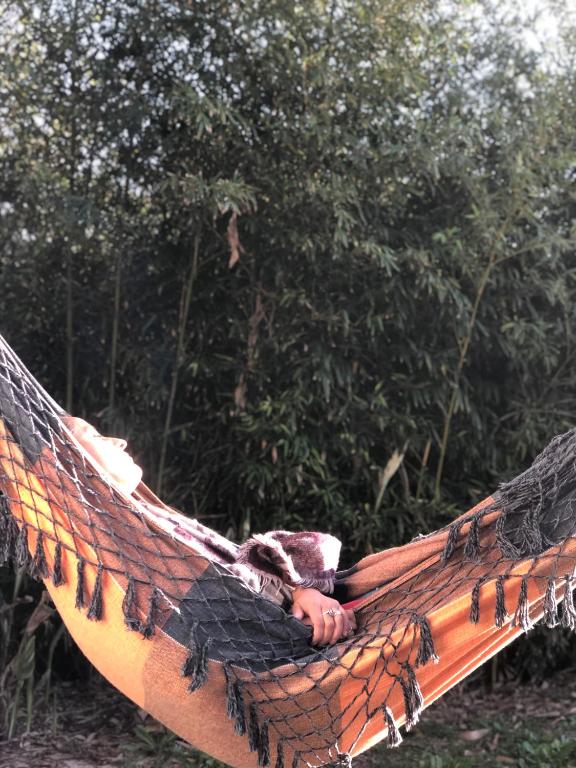 Casa Pindo - Punta Rubia - 5