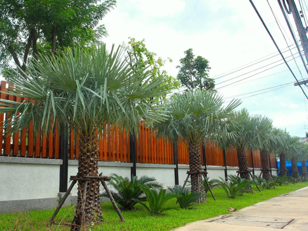 Surrounding environment