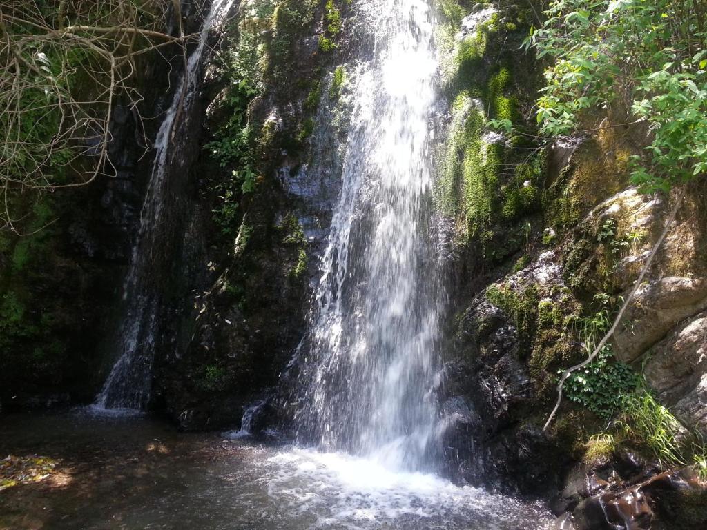 Recreational facilities