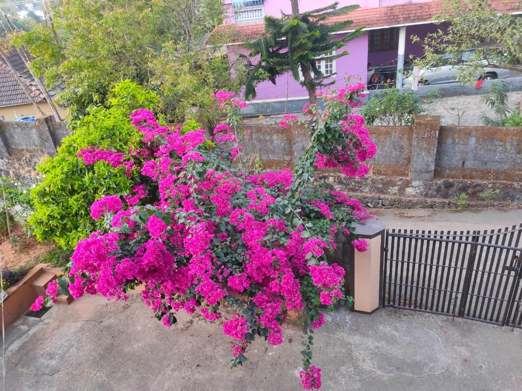 Nivaasana Bed & Breakfast photo
