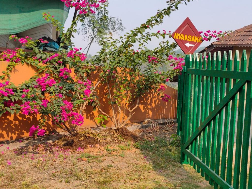 Nivaasana Bed & Breakfast photo
