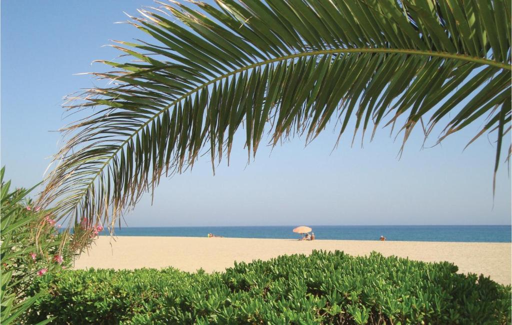 Gorgeous Apartment In Argeles Sur Mer - 3
