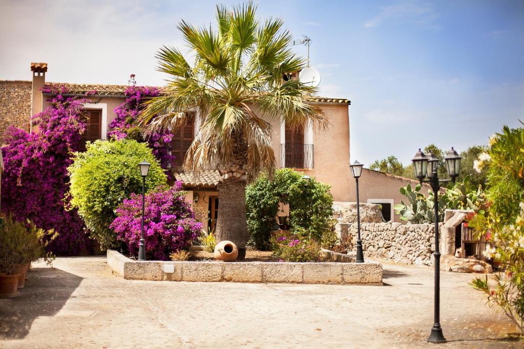 Agroturismo Can Patro photo