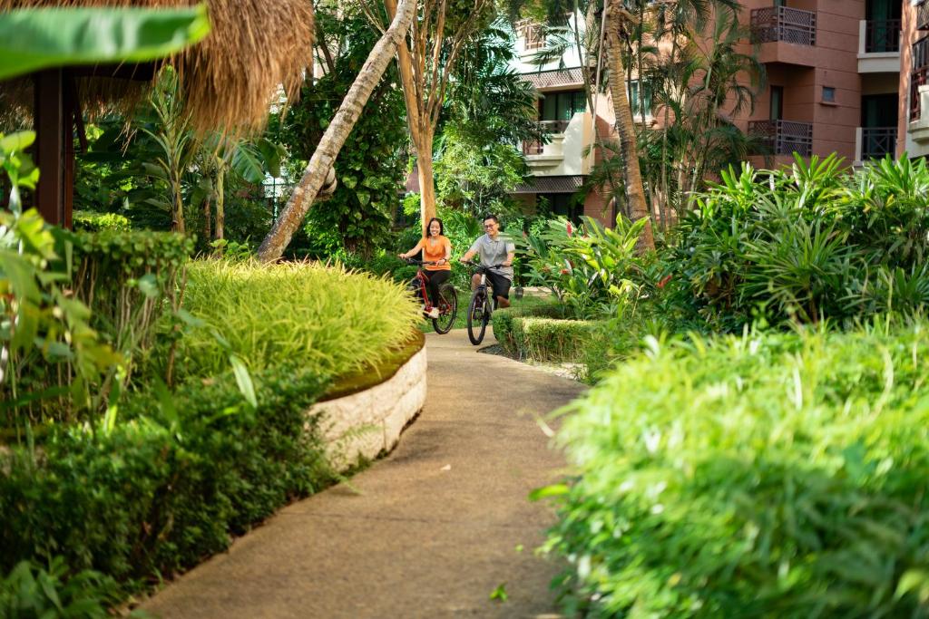 アクティビティ