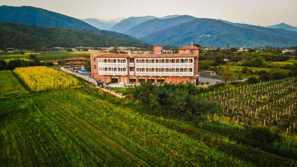 Chateau Artwine — Hotel in Signagi