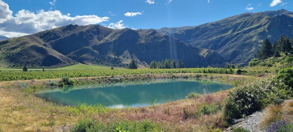 Lodges on Pearson - Unit 2, Cromwell