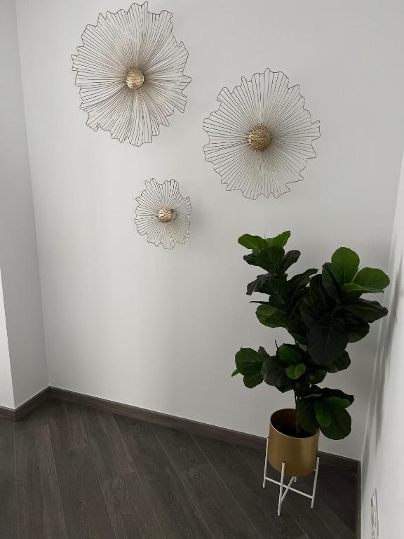 New apartment Estepona Gardens - 3