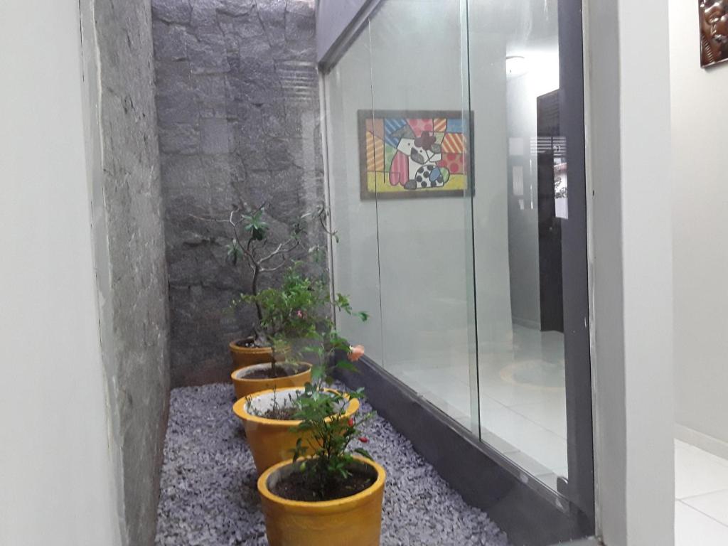 Hostel flor do Caribe photo