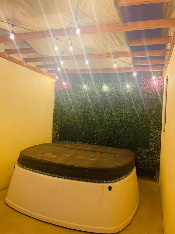 Finca Chavez - 2