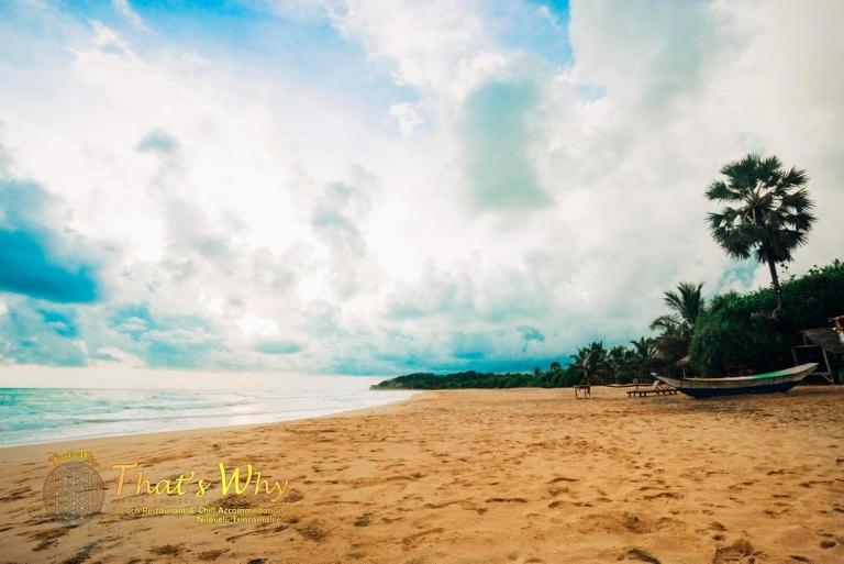 That's Why Beach Cabanas Nilaveli photo