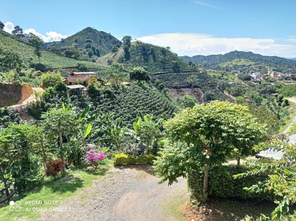 Alojamiento Rural Altos del Molino photo