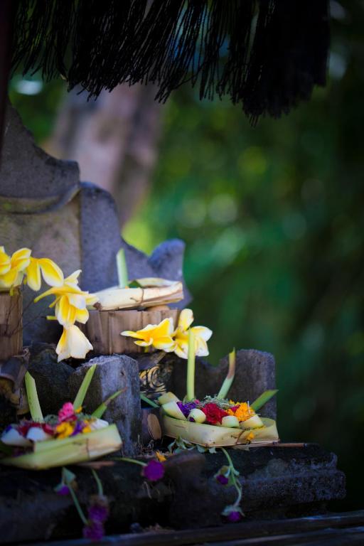 편의 시설/서비스