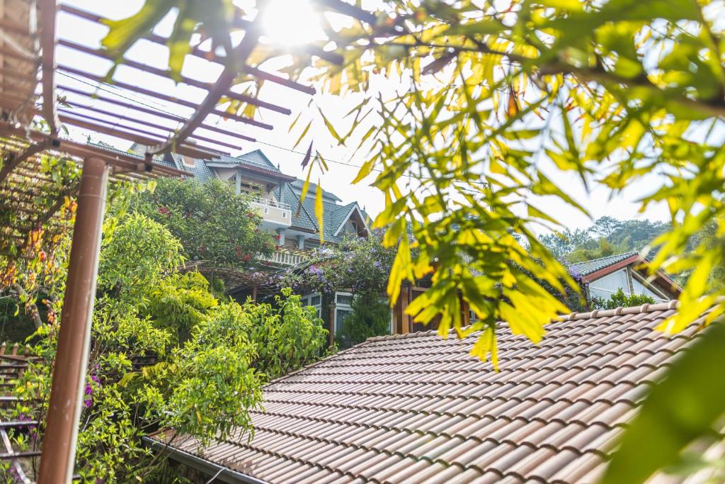 Surrounding environment