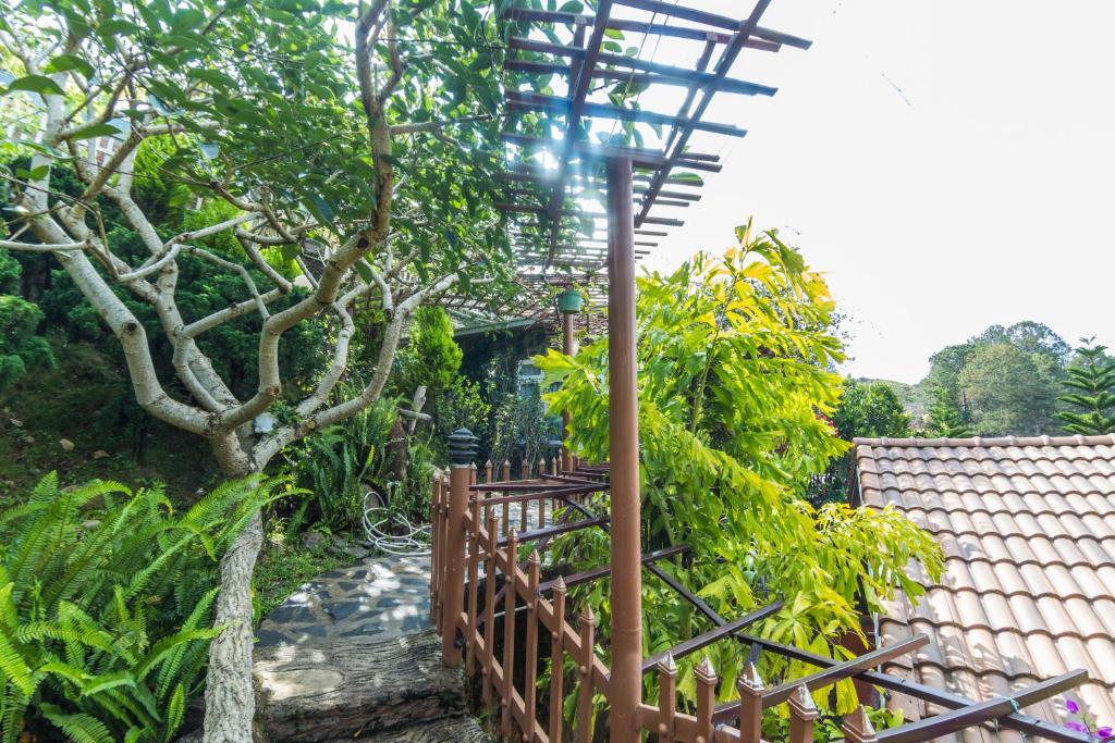 Surrounding environment