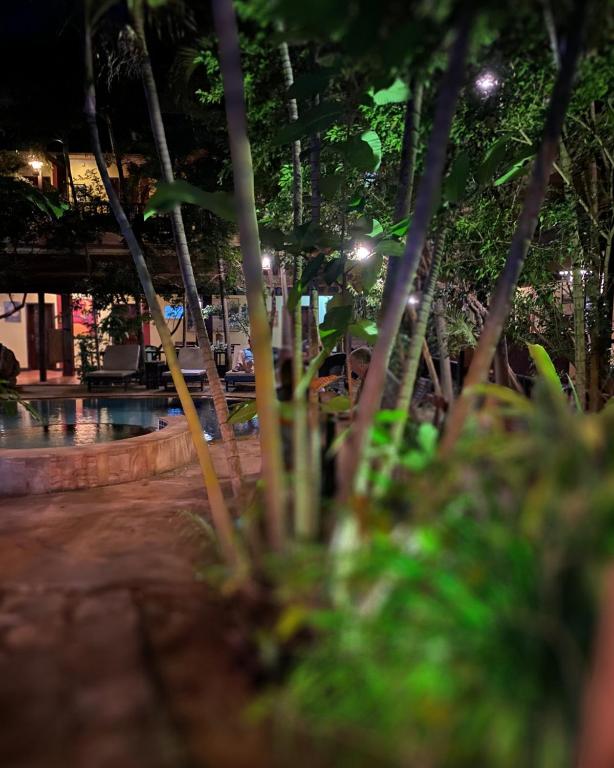 สระว่ายน้ำ