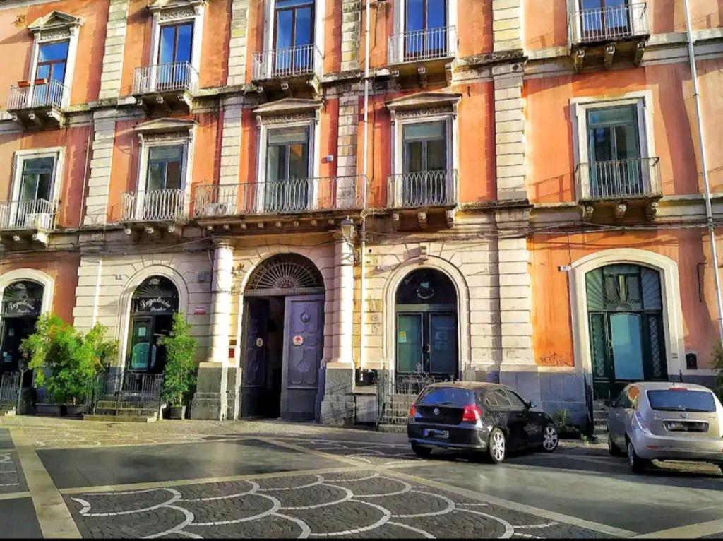 Muscaloru Rooms, Katánie