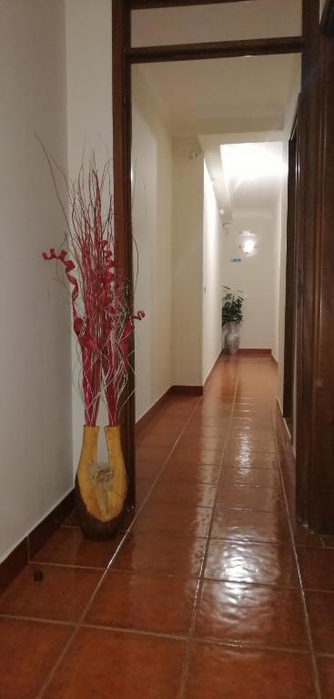 Gouveia Residence photo