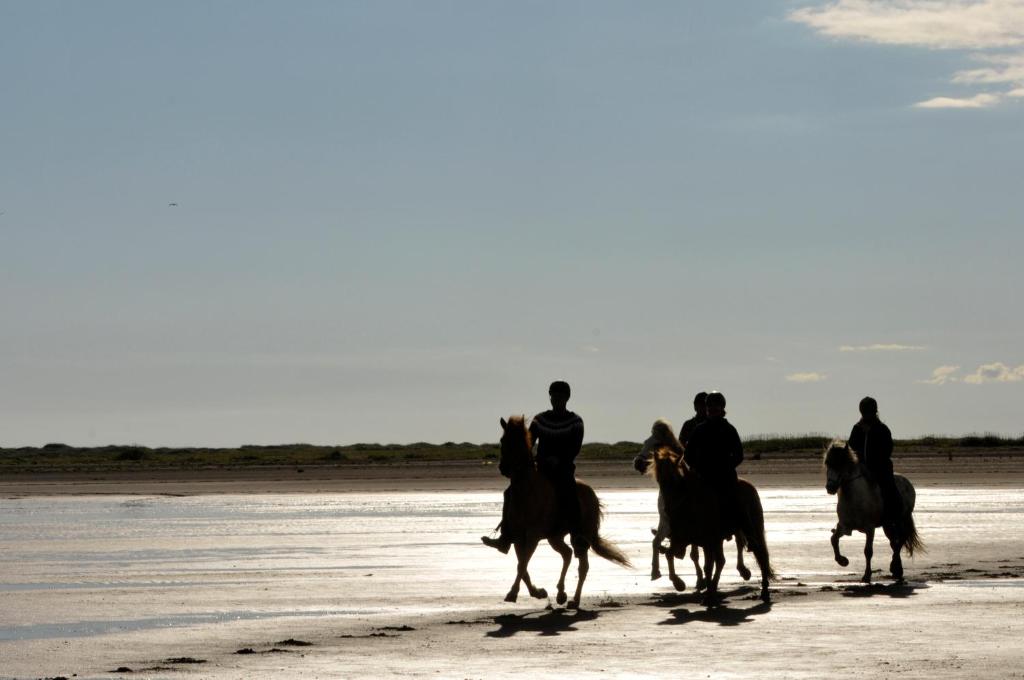 Horseback riding