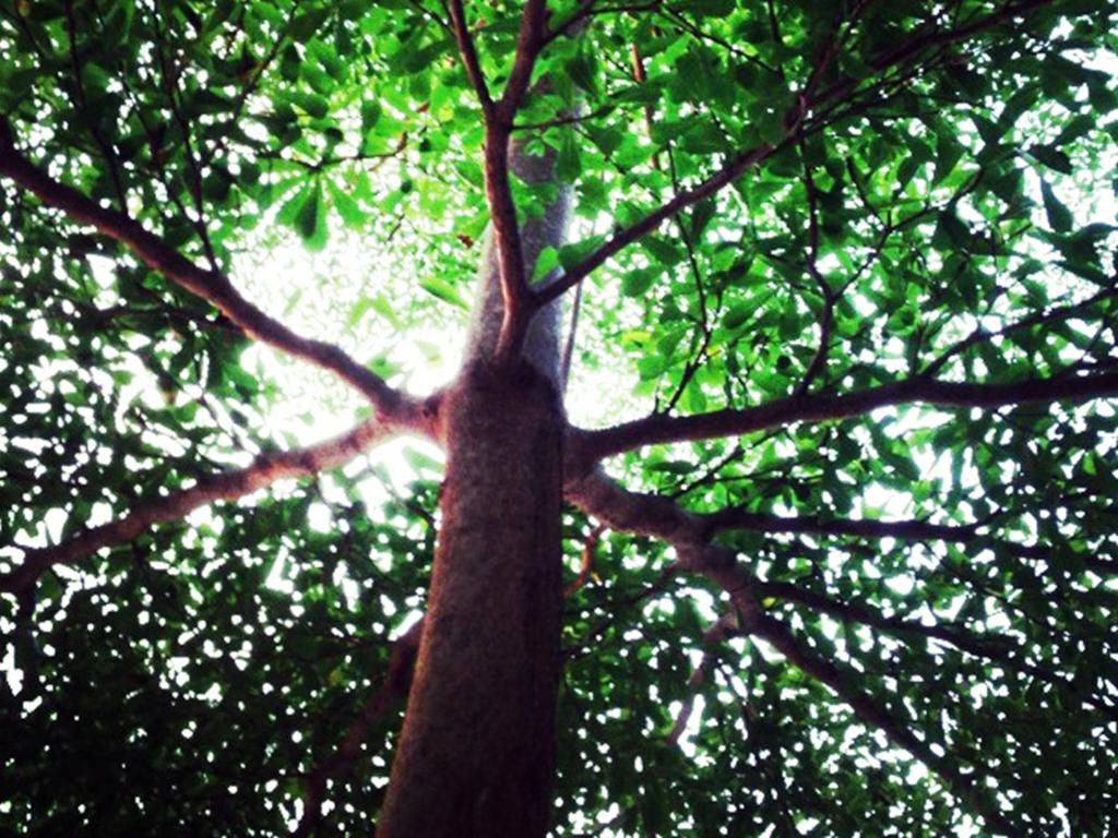 Surrounding environment