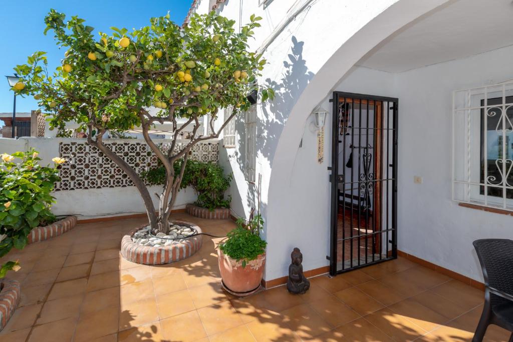 Casa Limon - 4