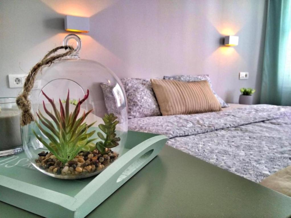 Luxury renevapartment island village - 2