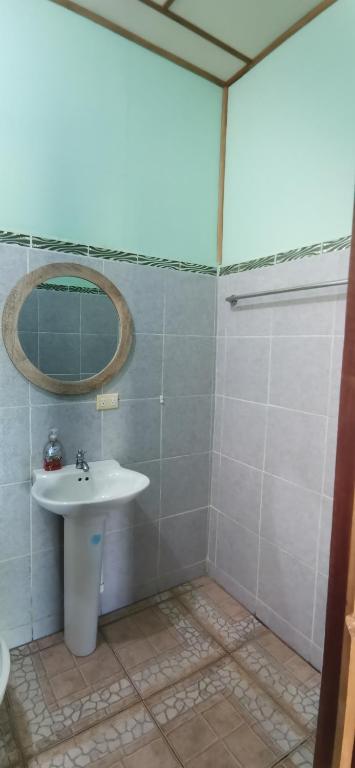 Allegra Hostel photo
