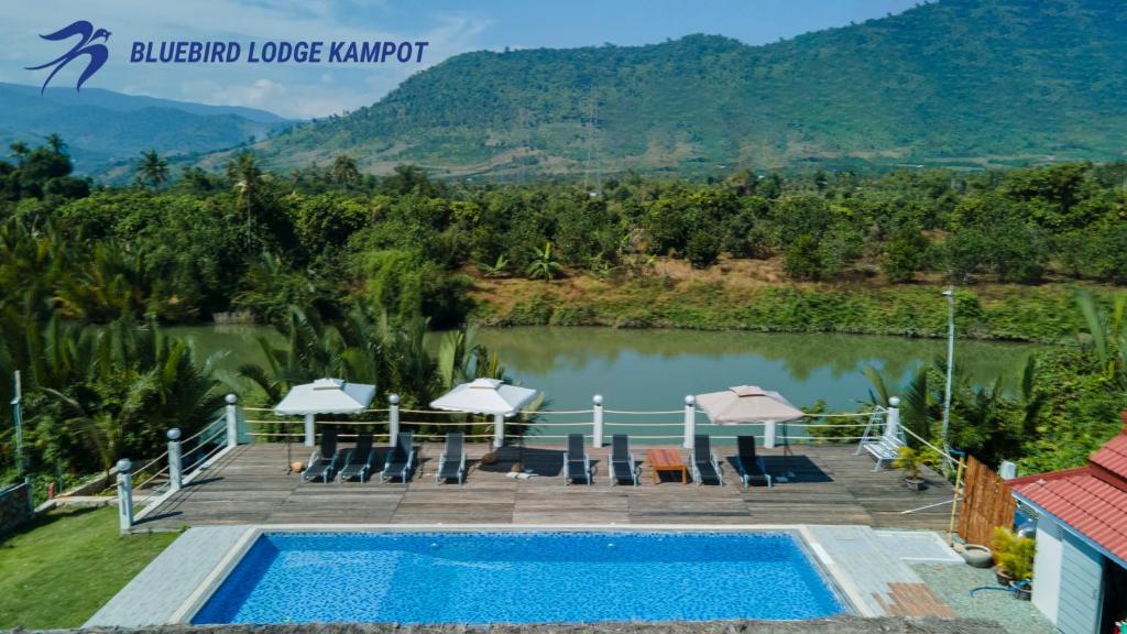 Bluebird Lodge Kampot photo