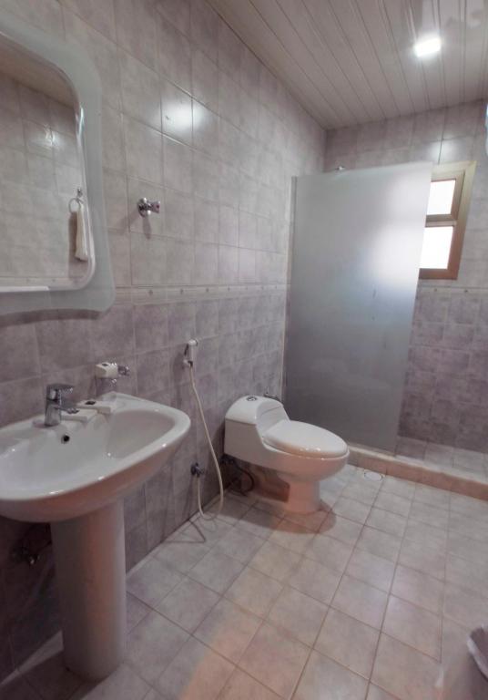 City Suites photo