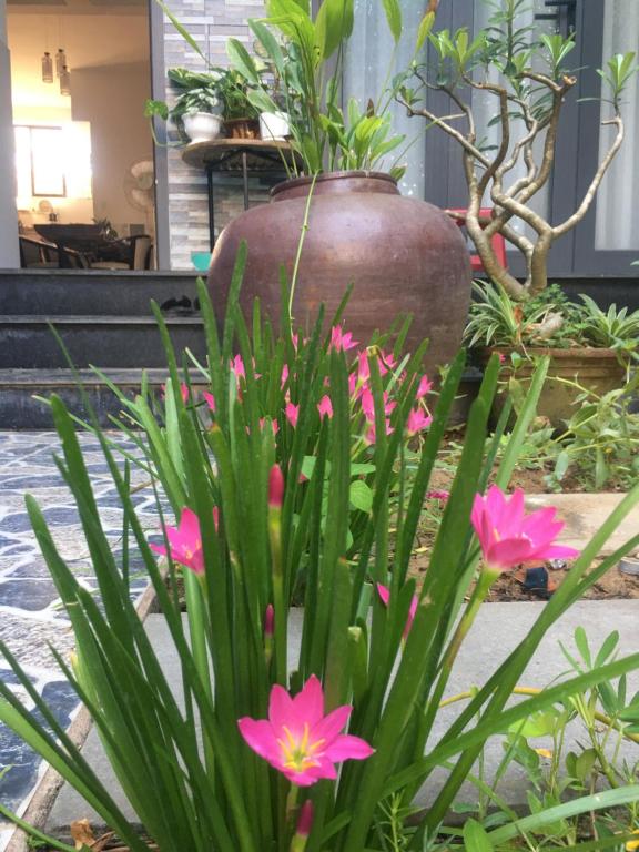 Cherry Garden Homestay photo