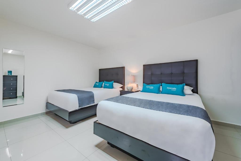Suites Ejecutivas Monterrey - 5