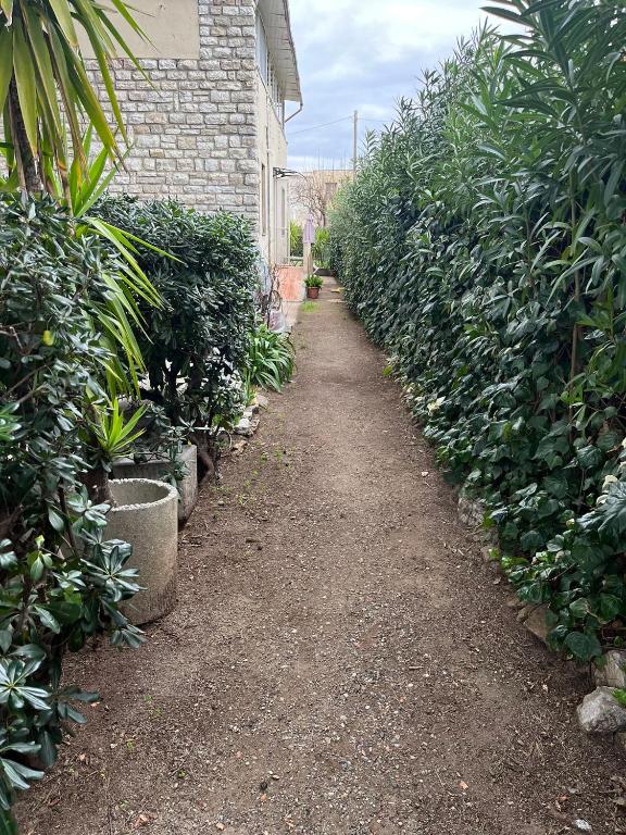 Casetta dei fiori - 2