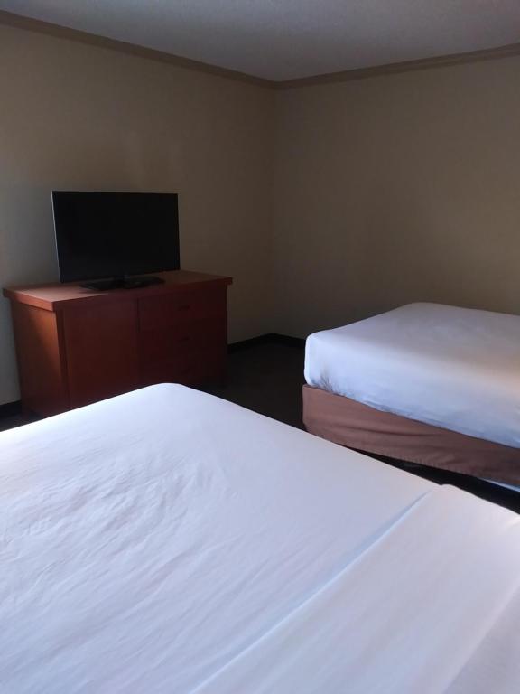 La Quinta Inn & Suites by Wyndham Columbus State University photo