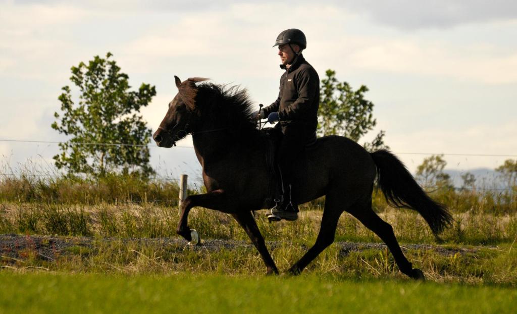 Horseback riding