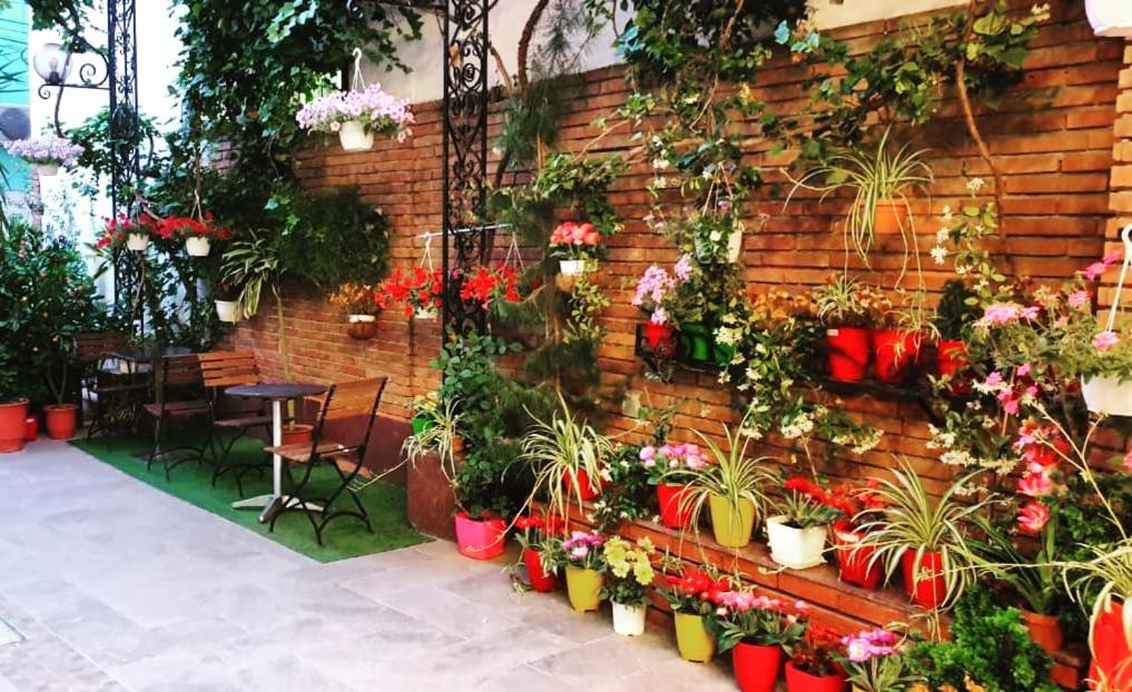 Hotel Livia - Facilities image