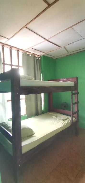 Allegra Hostel photo