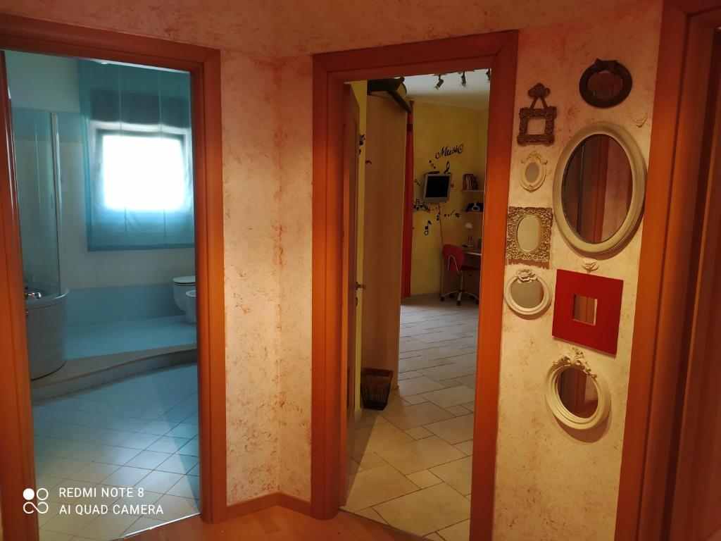 Buena Vista Holidays photo