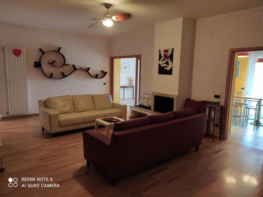 Buena Vista Holidays photo