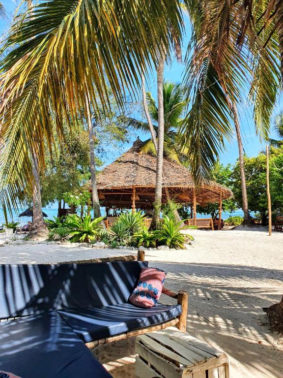 Blue Palm Zanzibar photo