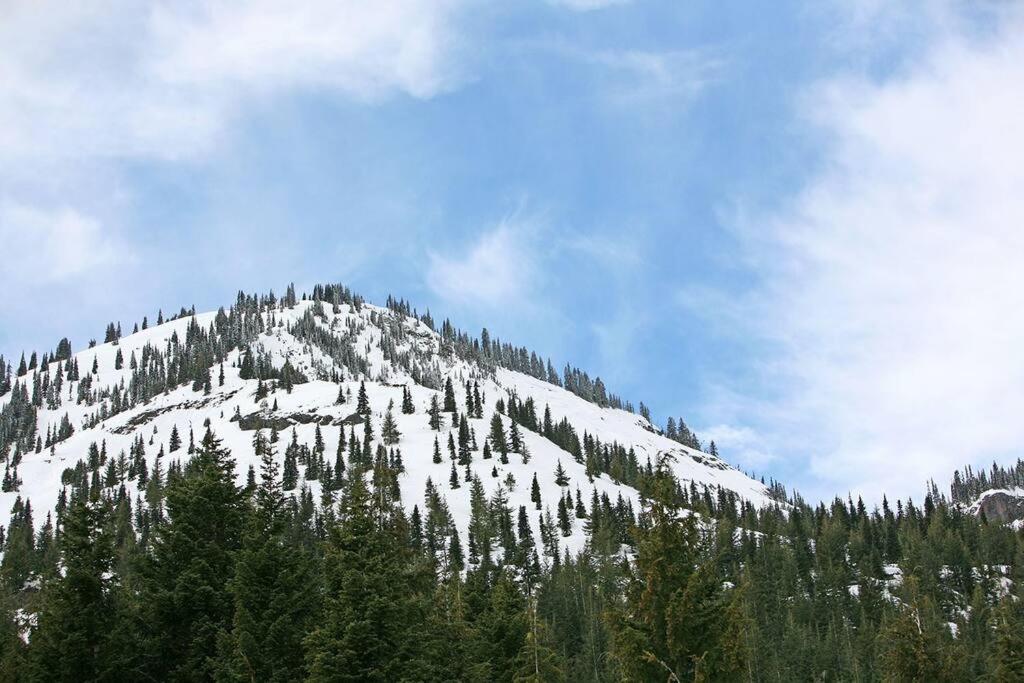 Half Pipe Hideaway, Packwood