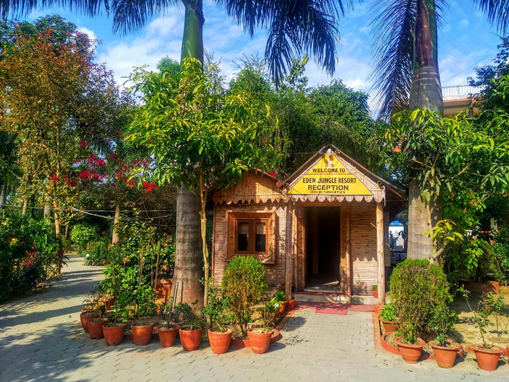 Eden Jungle Resort photo