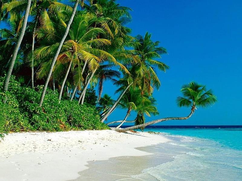 AGODA C VIEW @ Sri Sayang Beach Resort photo