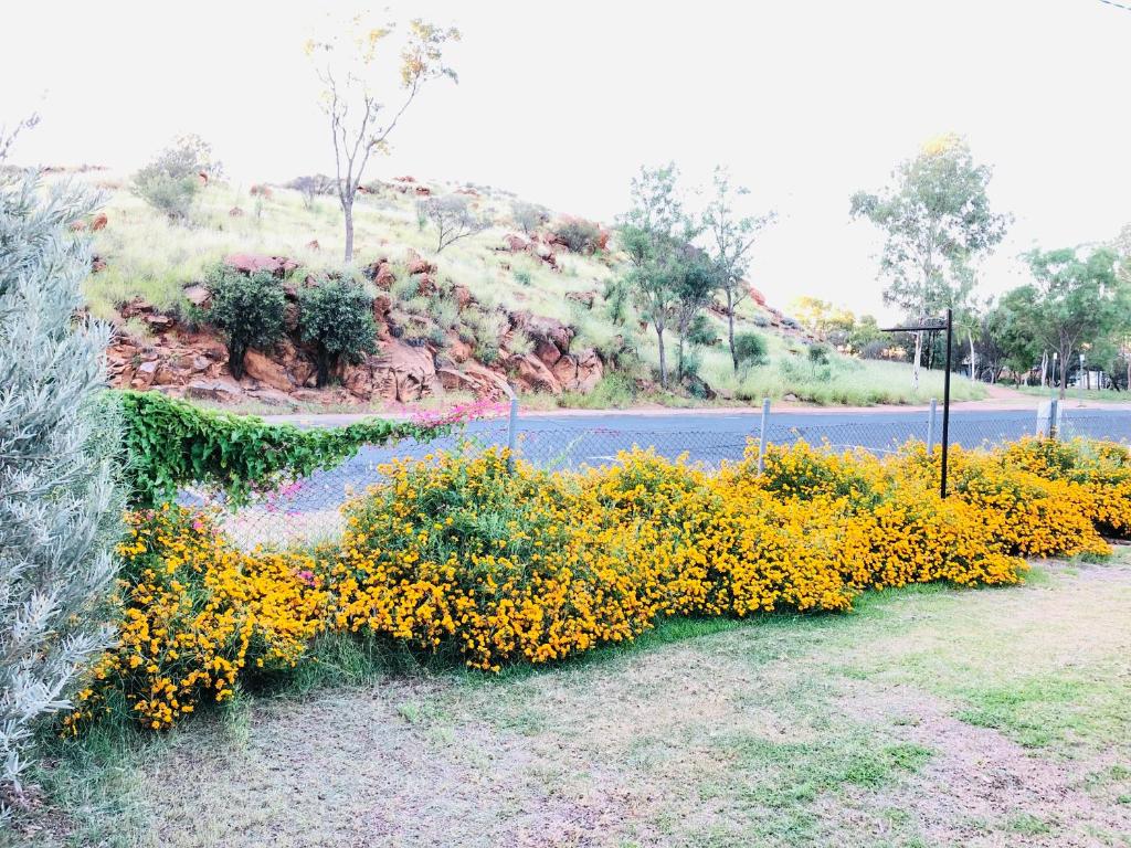 Entire 4 Bedroom pets friendly home in Alice Springs CBD with 2 kitchens 2 bathrooms Toilets and ple photo