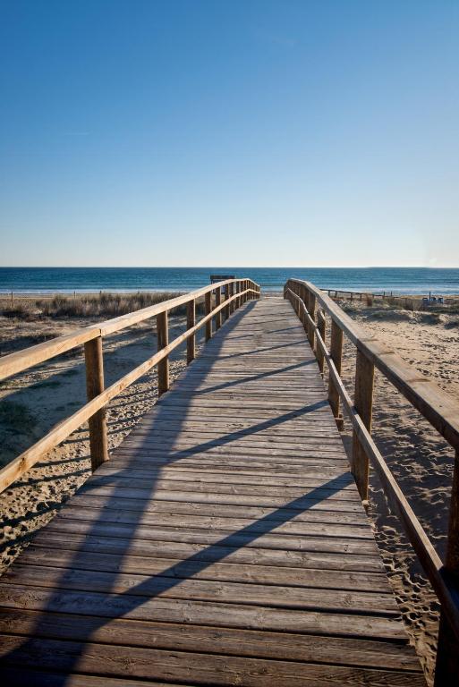 周辺観光スポット