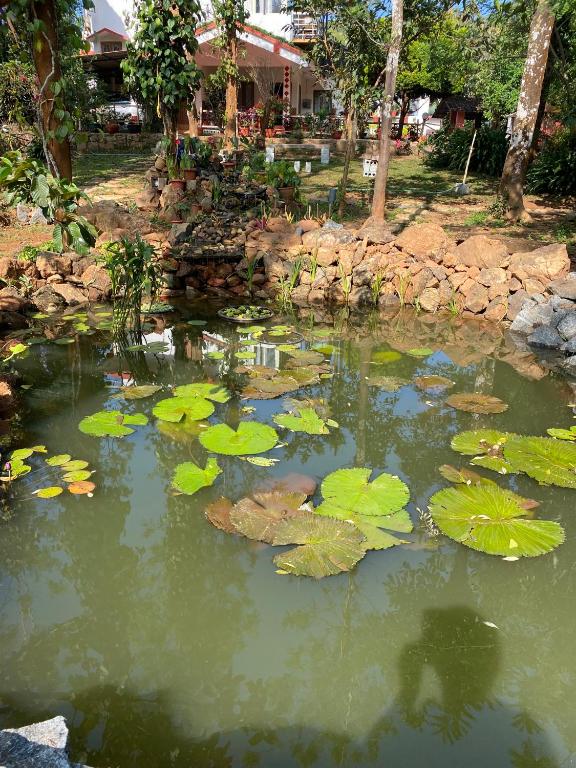 LAZY DAYS Wayanad photo
